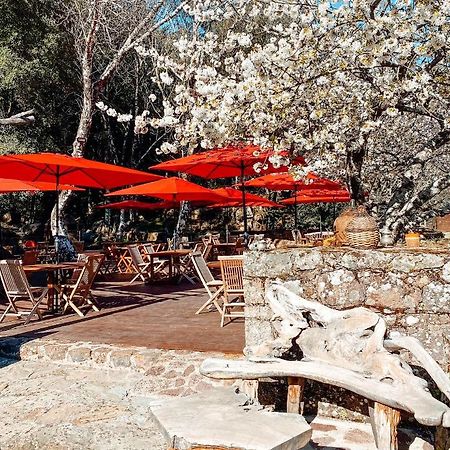 Auberge De La Foret Bonifatu Calenzana Dış mekan fotoğraf