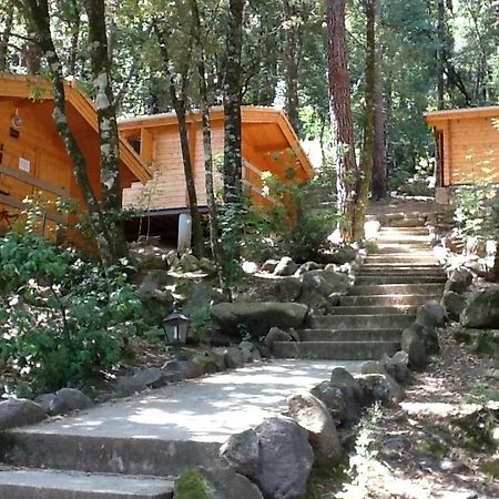Auberge De La Foret Bonifatu Calenzana Dış mekan fotoğraf