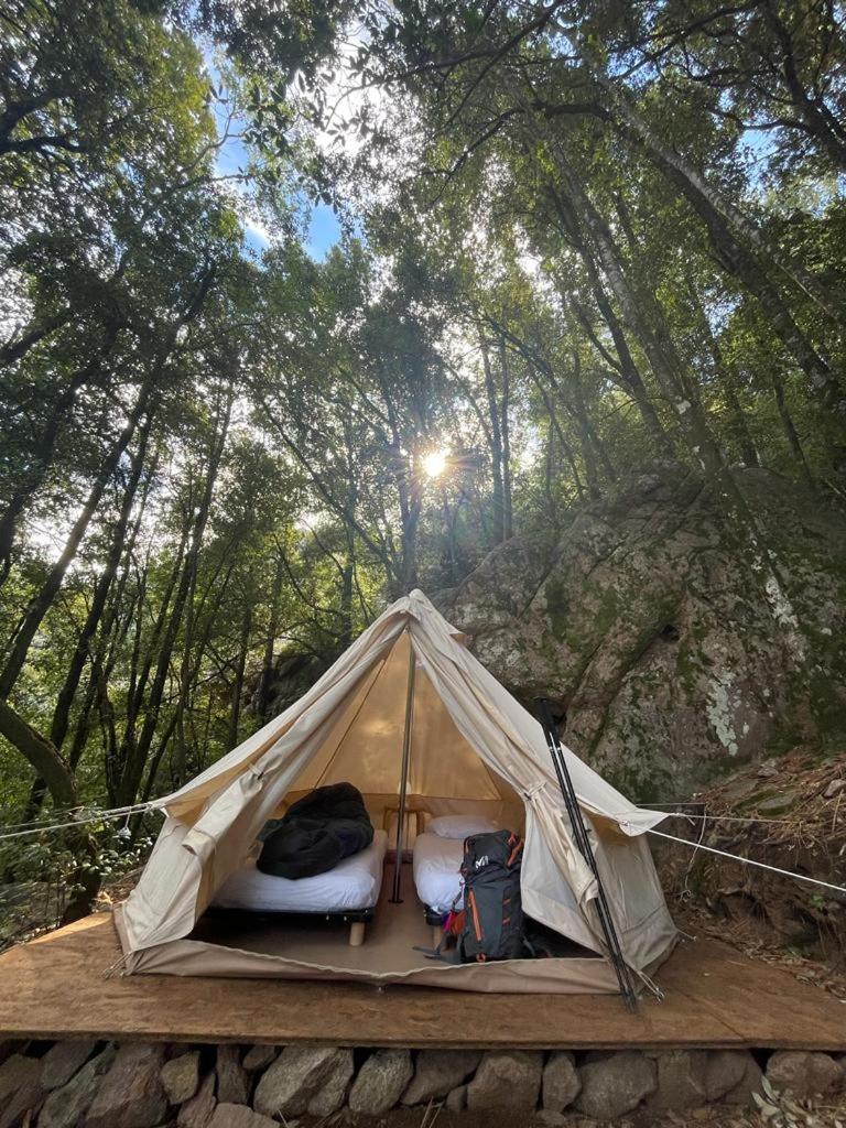 Auberge De La Foret Bonifatu Calenzana Dış mekan fotoğraf