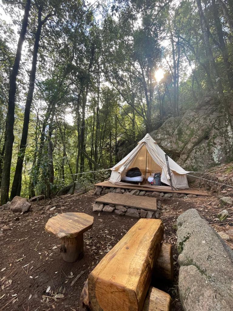 Auberge De La Foret Bonifatu Calenzana Dış mekan fotoğraf
